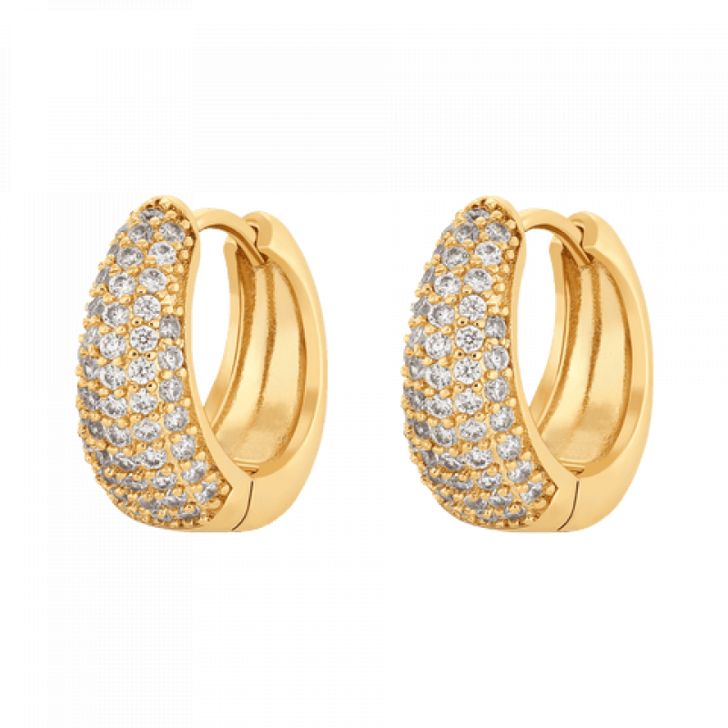 Heideman Damen Ohrringe Feline : Gold