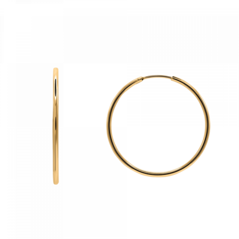 Heideman Damen Ohrringe Elide : Gold – Bild 1 von 2
