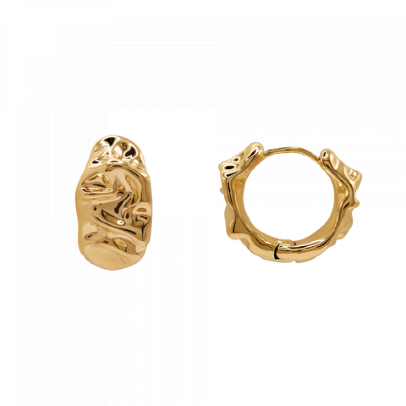 Heideman Damen Ohrringe Celeste : Gold – Bild 1 von 2