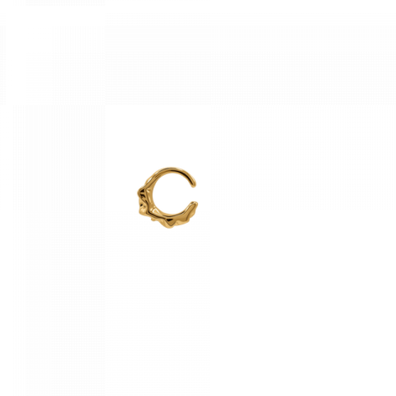 Heideman Damen Ohrringe Celeste : Gold – Bild 1 von 2