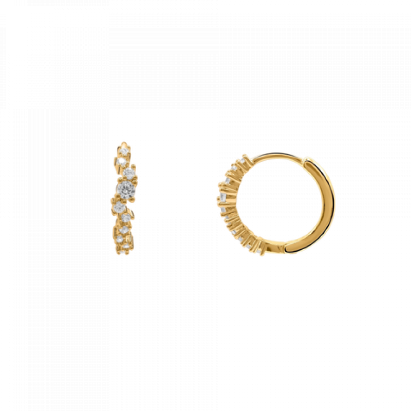 Heideman Damen Ohrringe Ottavia : Gold – Bild 1 von 2
