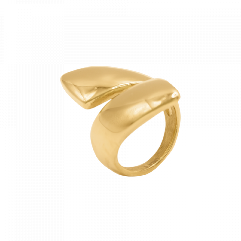 Heideman Damen Ring Livana : Gold – Bild 1 von 2