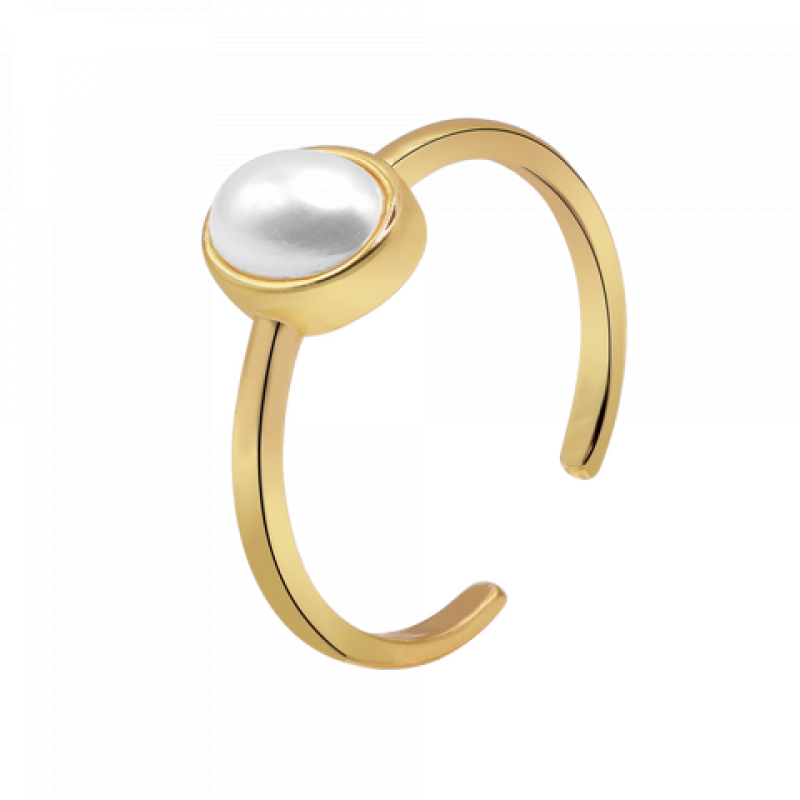 Heideman Ring Saga : Gold