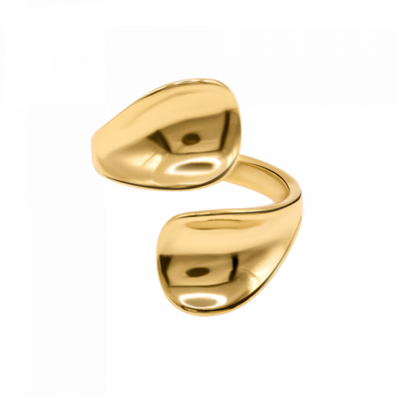 Heideman Damen Ring Nelea : Gold – Bild 1 von 2