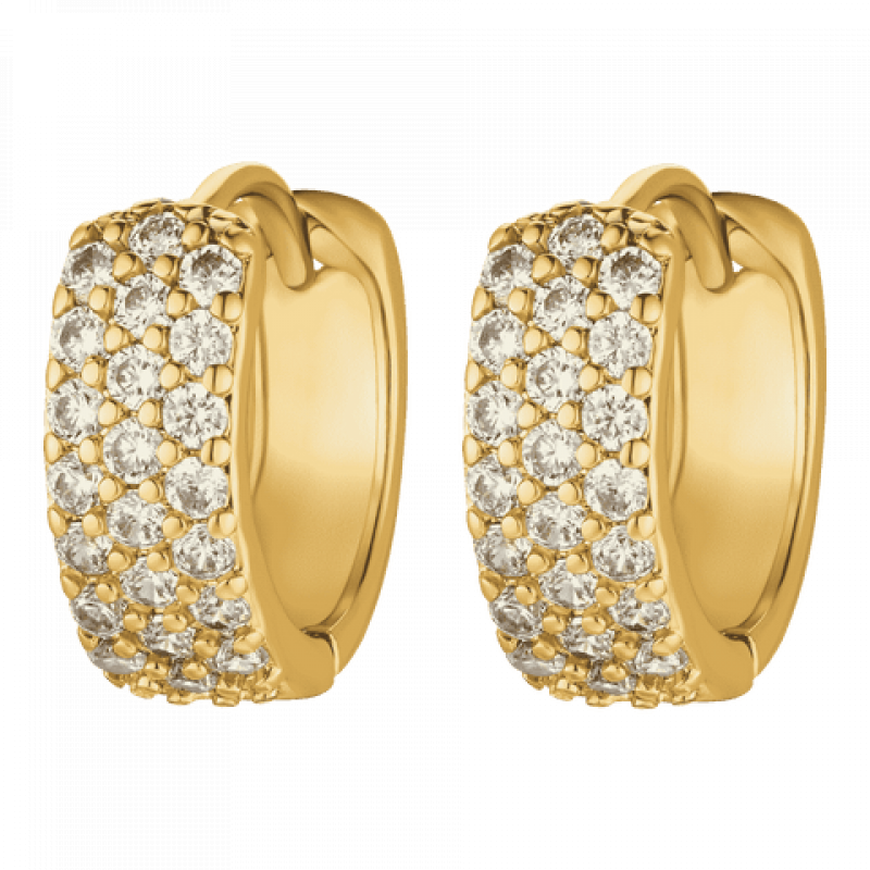 Heideman Ohrringe Neo : Gold