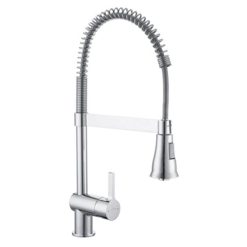 WELLWATER Küchenarmatur »Pantin«, mit Geschirrbrause, Niederdruck, chromfarben - silberfarben