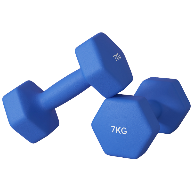 SPORTNOW Set 2 Hexagonale rutschfeste Hanteln 2x7 kg für Training, Metall und Kunststoff, 22,5x10,5x10,5 cm, Blau Aosom – Bild 1 von 2