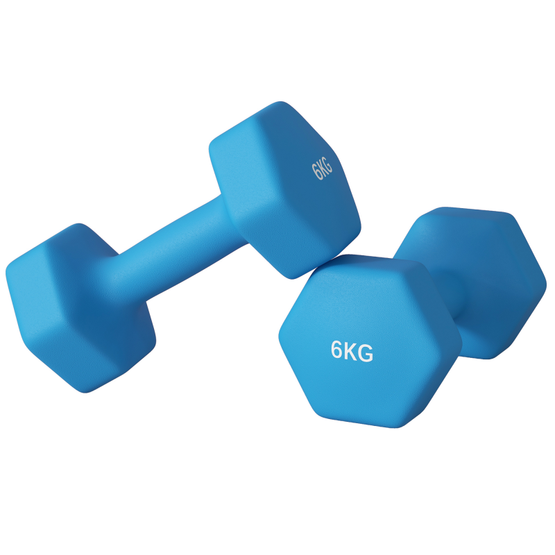 SPORTNOW Set 2 Hexagonale Hanteln 2x6 kg aus Metall und Kunststoff, 2 Hantelgewichte mit rutschfestem Griff, 22x10x10 cm, Blau Aosom – Bild 1 von 2