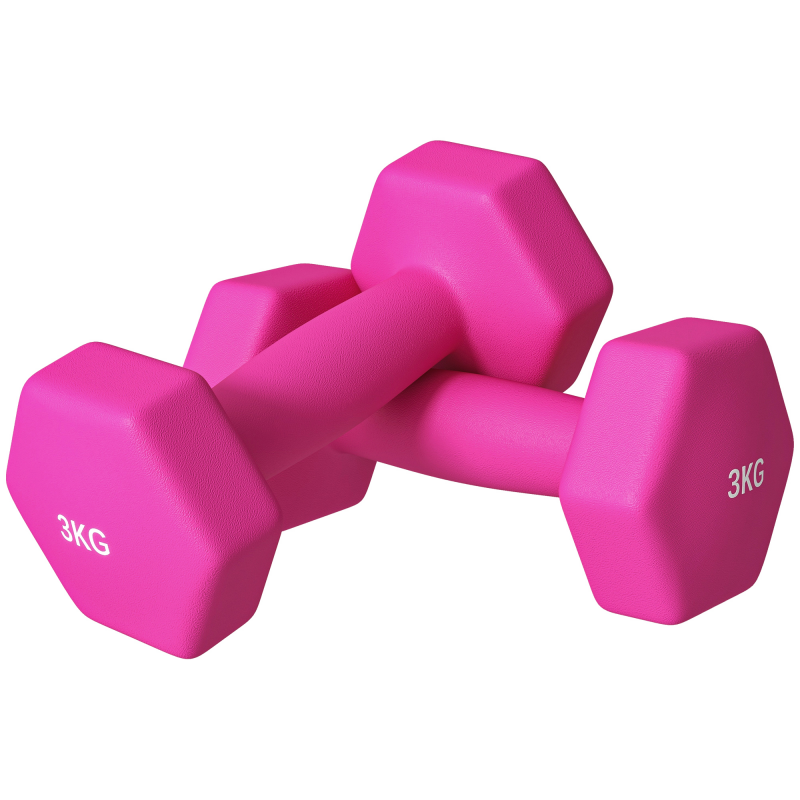 SPORTNOW Hanteln 2er Set Kurzhanteln 2 x 3 kg Hantelset Dumbbells, bodenschonendes Hexagon Kurzhantel Set für Krafttraining, Zuhause, Rosa Aosom – Bild 1 von 2