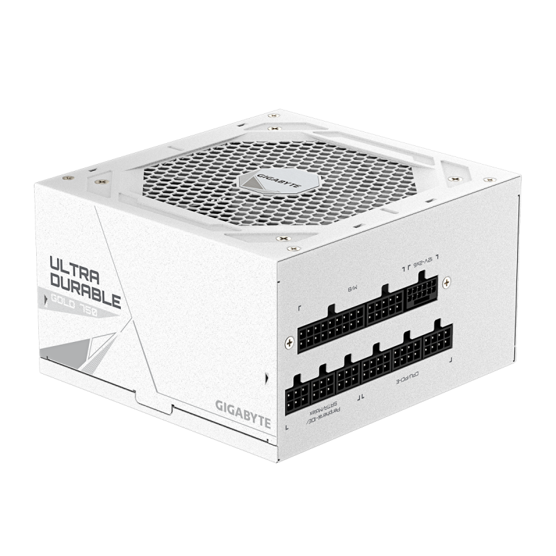 GigaByte UD750GM PG5 V2 ICE | PC-Netzteil