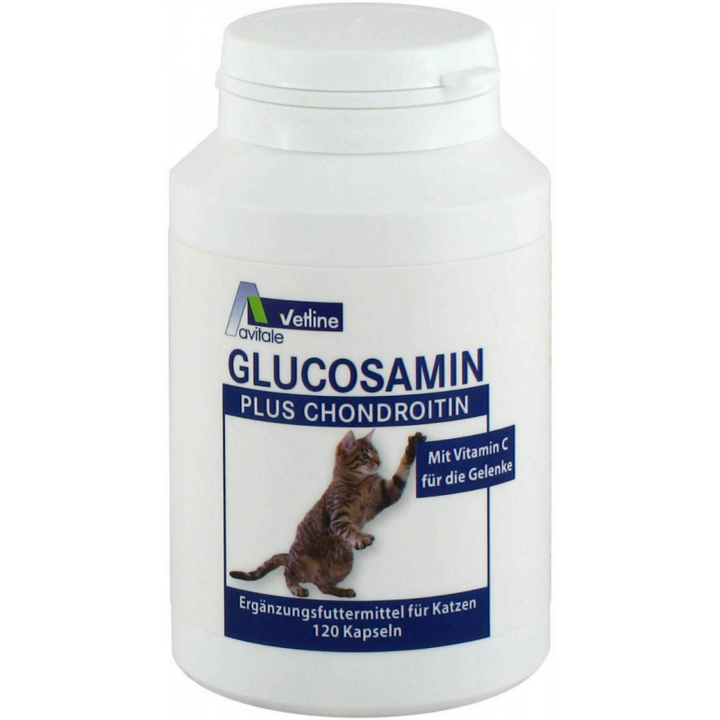 Glucosamin Chondroitin Kapseln Für Katzen 120 Stück