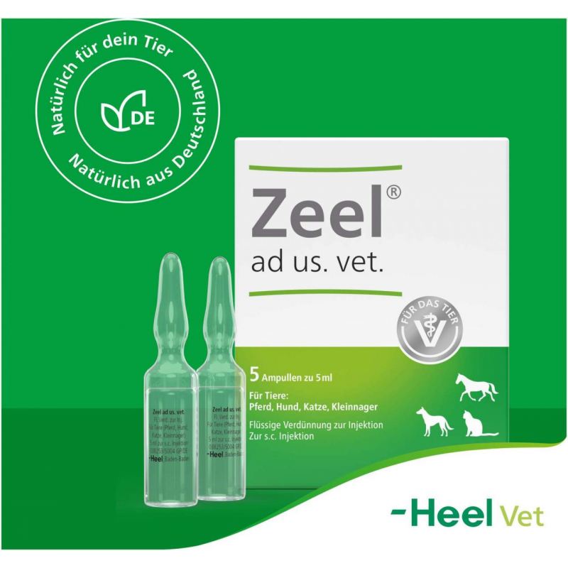 Zeel vet. 5 X 5 ml Ampullen