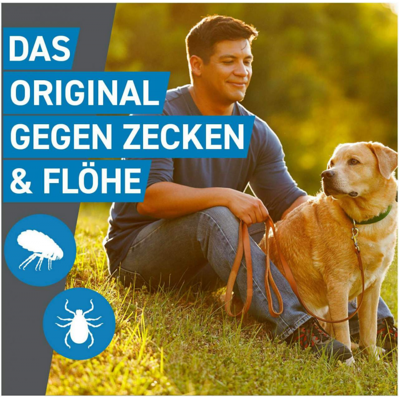 Frontline Spot On Hund M 10-20 kg 3 Pipetten