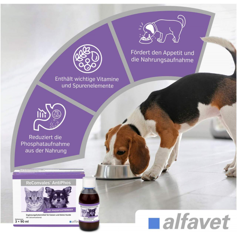 Reconvales Energy Diätergänzungsfuttermittel 180 ml Flüssigkeit für Katzen und kleine Hunde