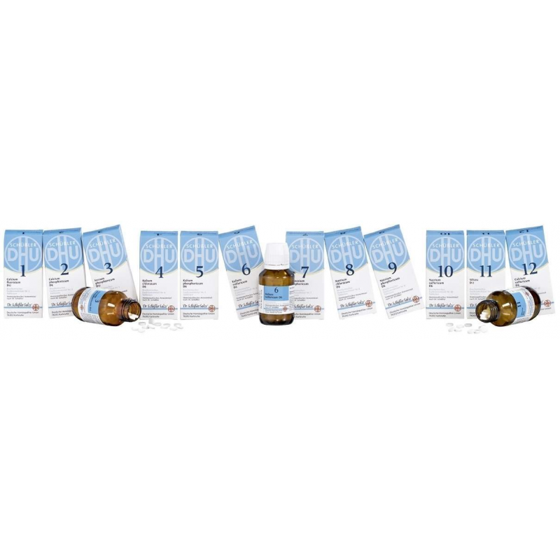 Biochemie DHU Set Basissalze 1-12 80 Tabletten 12 Artikel im Set