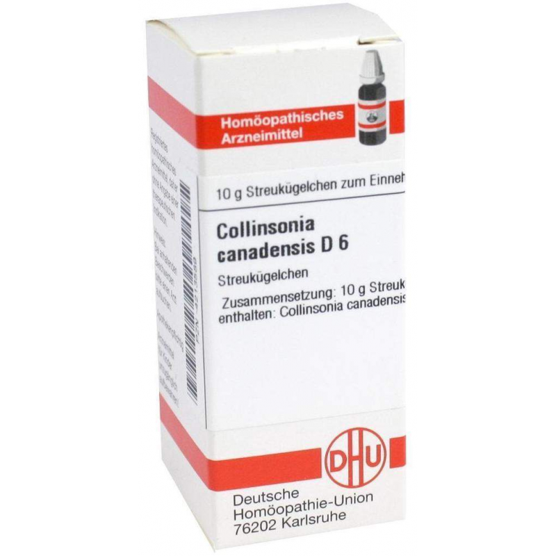 Dhu Collinsonia Canadensis D6 10 G Globuli