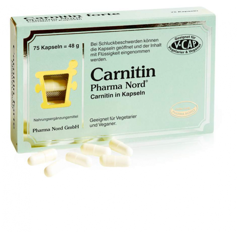 Carnitin Kapseln