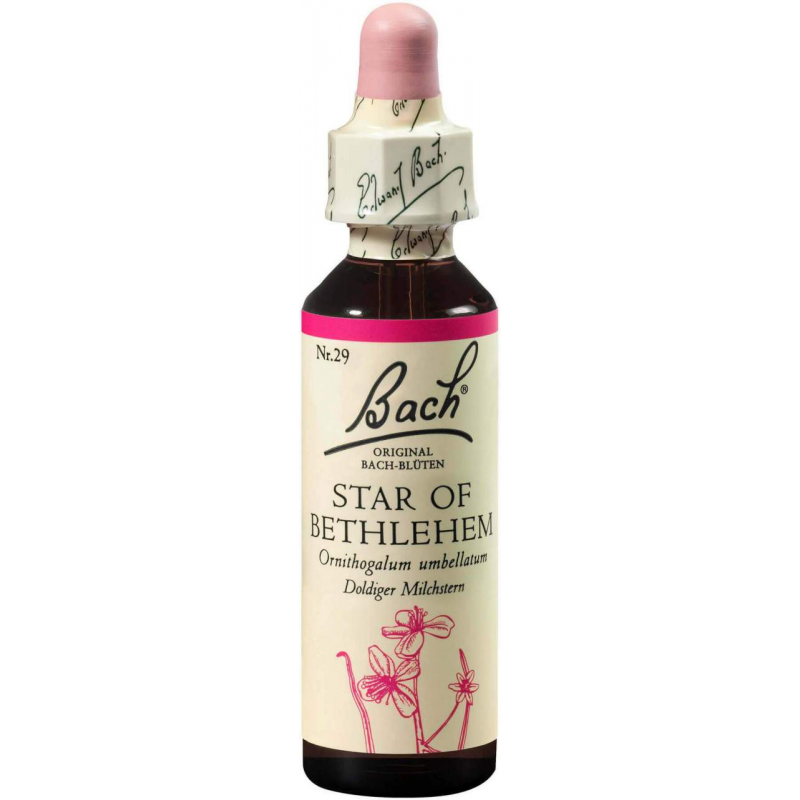 Bachblüten Star Of Bethlehem 20 ml Tropfen