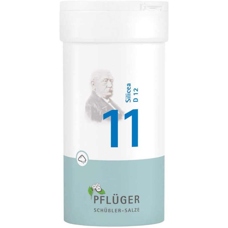 Biochemie Pflüger 11 Silicea D12 100 G Pulver