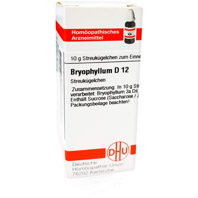 Dhu Bryophyllum D12 10 G Globuli