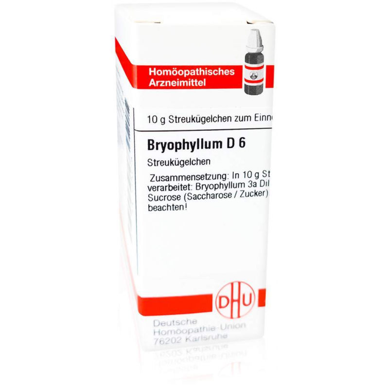 Dhu Bryophyllum D6 Globuli