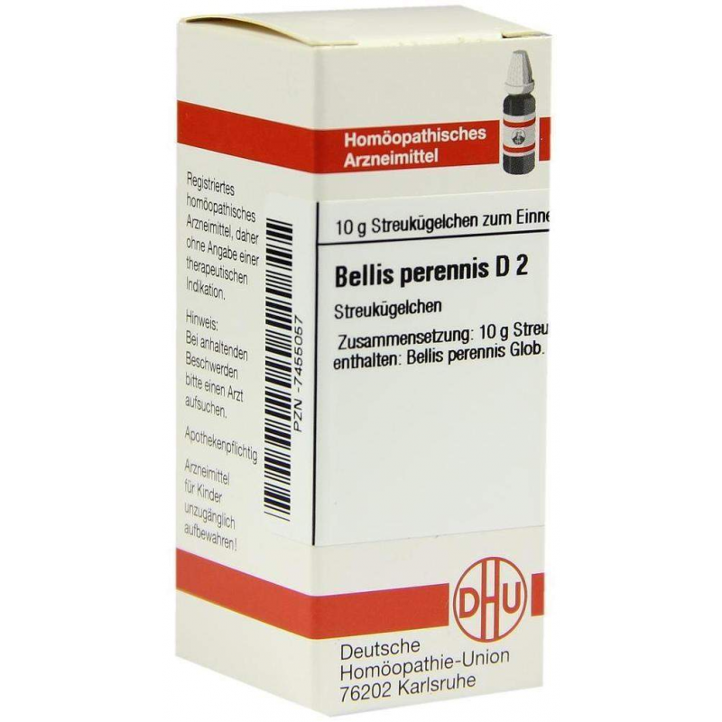 Dhu Bellis Perennis D2 Globuli