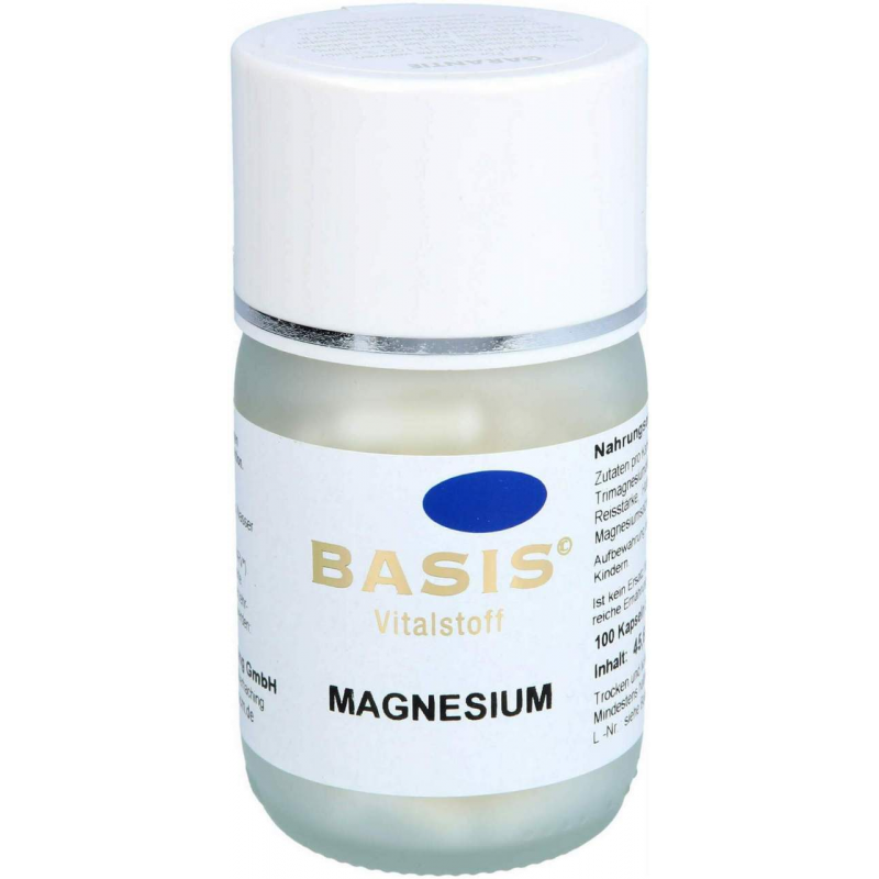 Magnesium 100 Kapseln