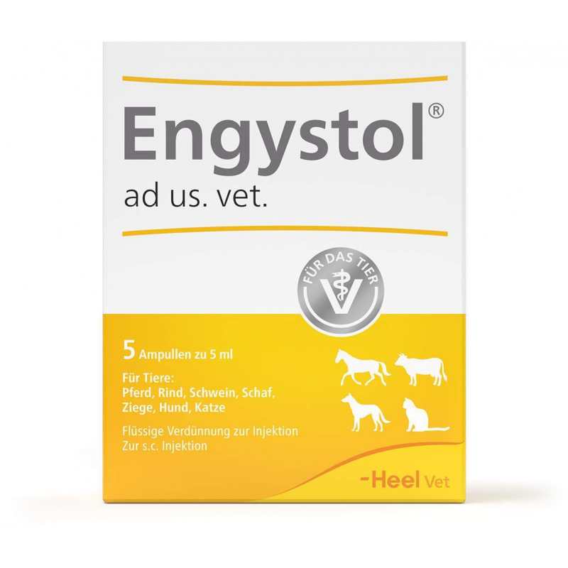 Engystol ad us. vet. 5 Ampullen