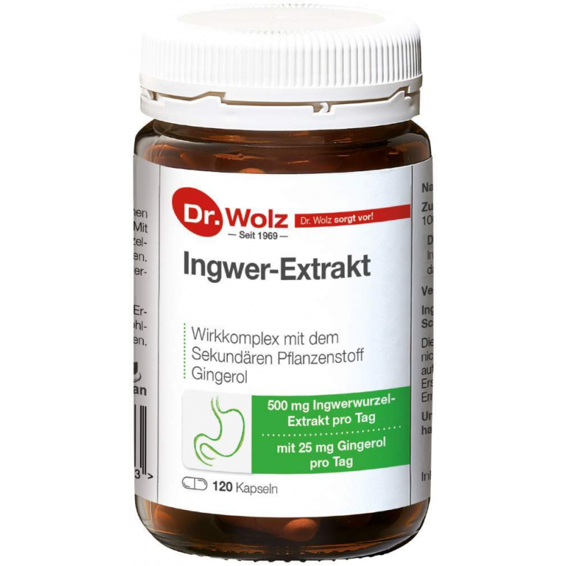 Ingwer Extrakt Dr. Wolz 120 Kapseln
