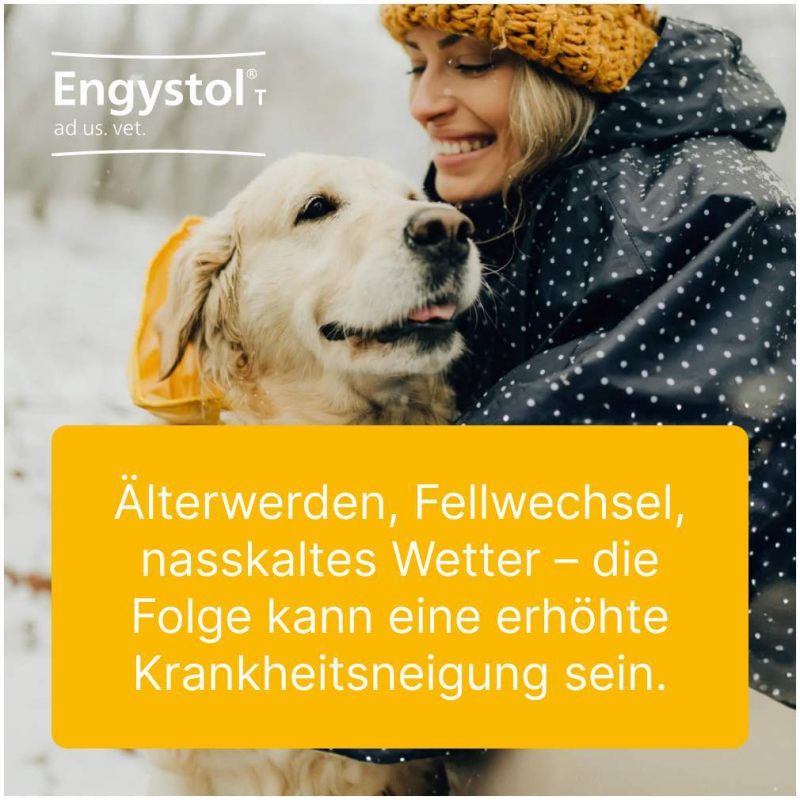 Engystol T Ad Us. vet. 500 Tabletten