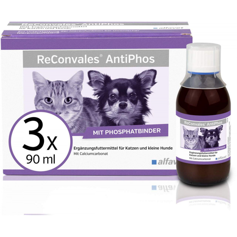 Reconvales AntiPhos 3 x 90 ml Flüssigkeit für kleine Hunde und Katzen
