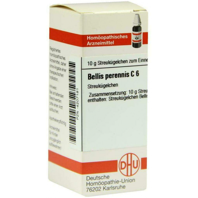 Dhu Bellis Perennis C6 Globuli