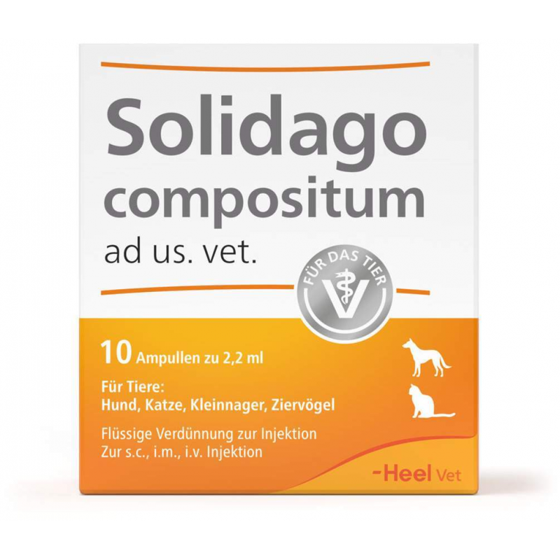 Solidago Compositum 10 Ampullen vet.
