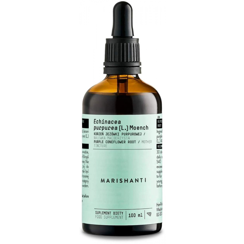 Echinacea Wurzel Extrakt Tropfen alkoholfrei 100 ml